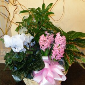 butterfly basket for everyday