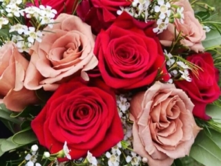 Red and blush roses - prom and homecoming