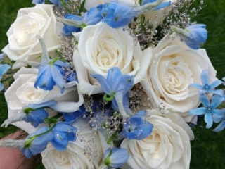 White roses with blue accents  - prom and homecoming