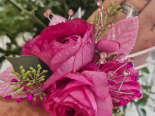 Pink roses - prom and homecoming