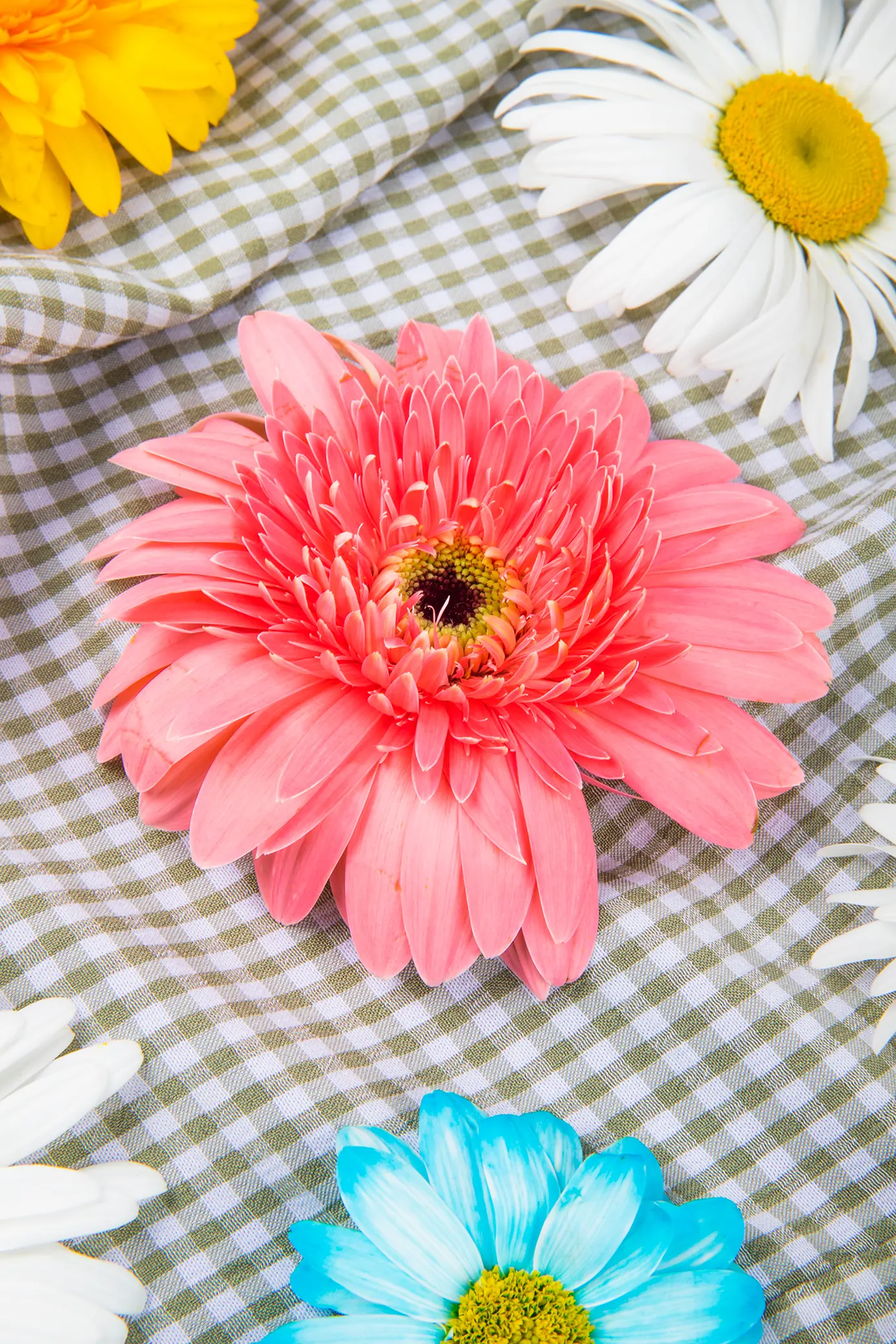 bouquet flowers gerbera