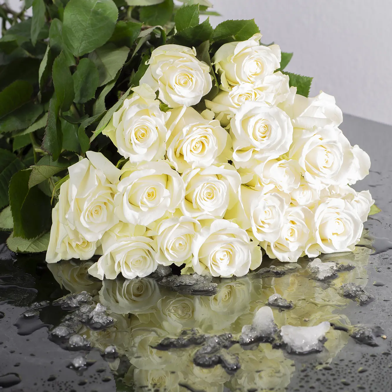 White roses