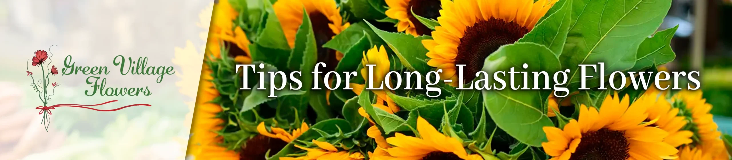 Featured image for “Tips for Longer-Lasting Flowers This Spring”