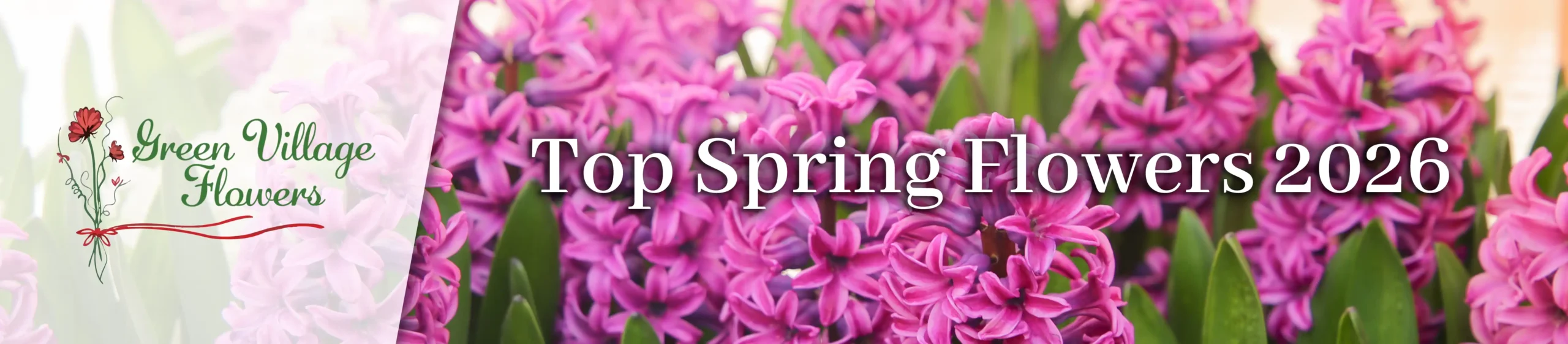 Featured image for “Top Spring Flowers for Loved Ones in 2026 in Joliet, IL”